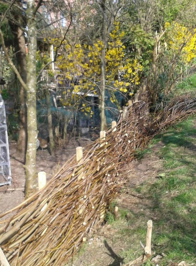 flinke bos hout voor vlecht hekwerk of schutting, Ophalen, 1 tot 2 meter, Minder dan 3 meter, Nieuw