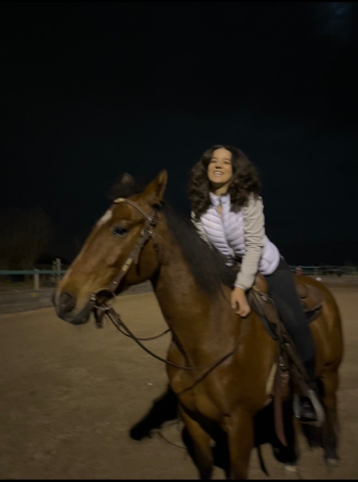 Paard gezocht, Dieren en Toebehoren