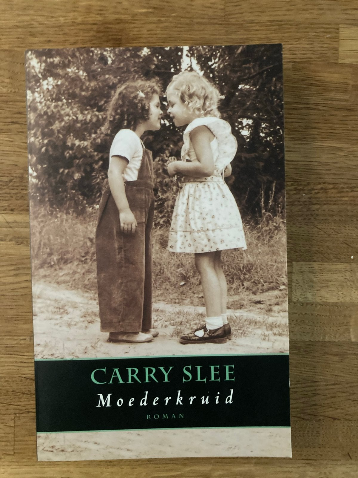 Moederkruid - Carry Slee (Roman), Ophalen of Verzenden, Gelezen, Nederland