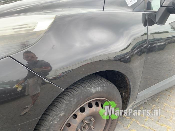 Scherm links-voor van een Renault Grand Scenic, Gebruikt, -, Renault, -