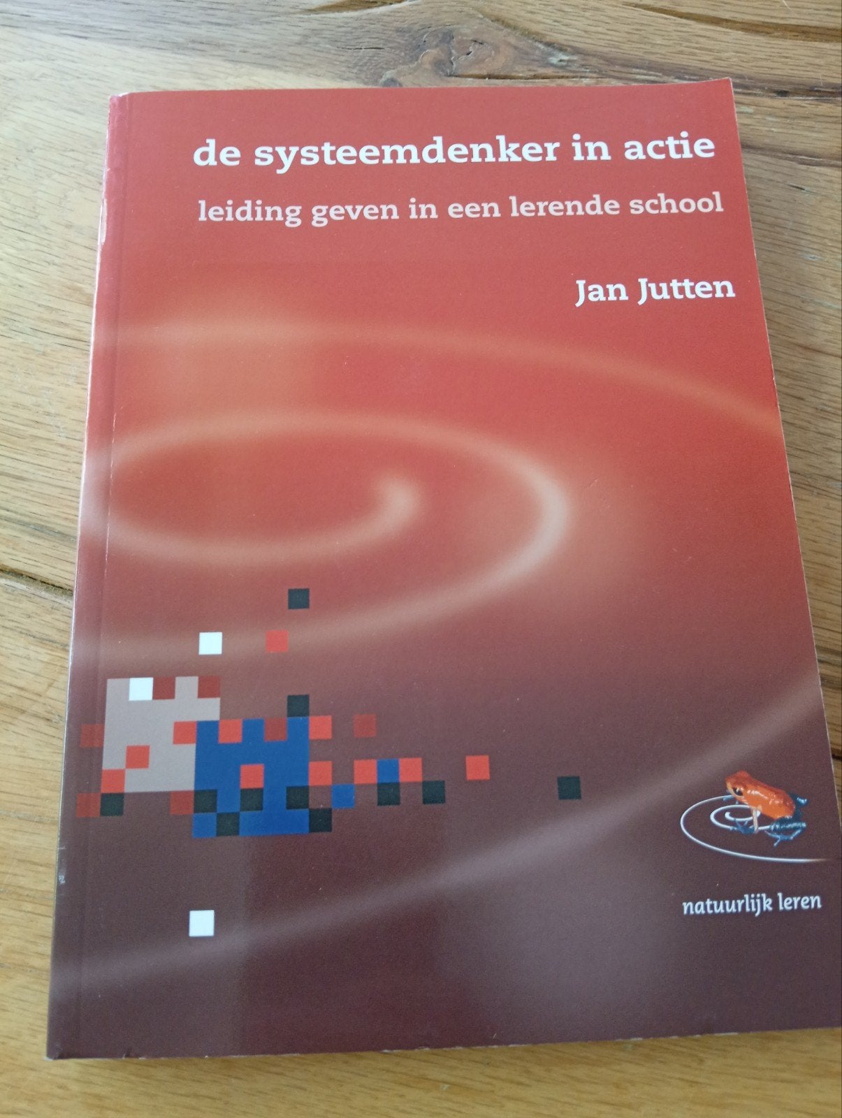 De Systeemdenker in Actie - Jan jutten, Zo goed als nieuw, Jan Jutten, Gamma, HBO