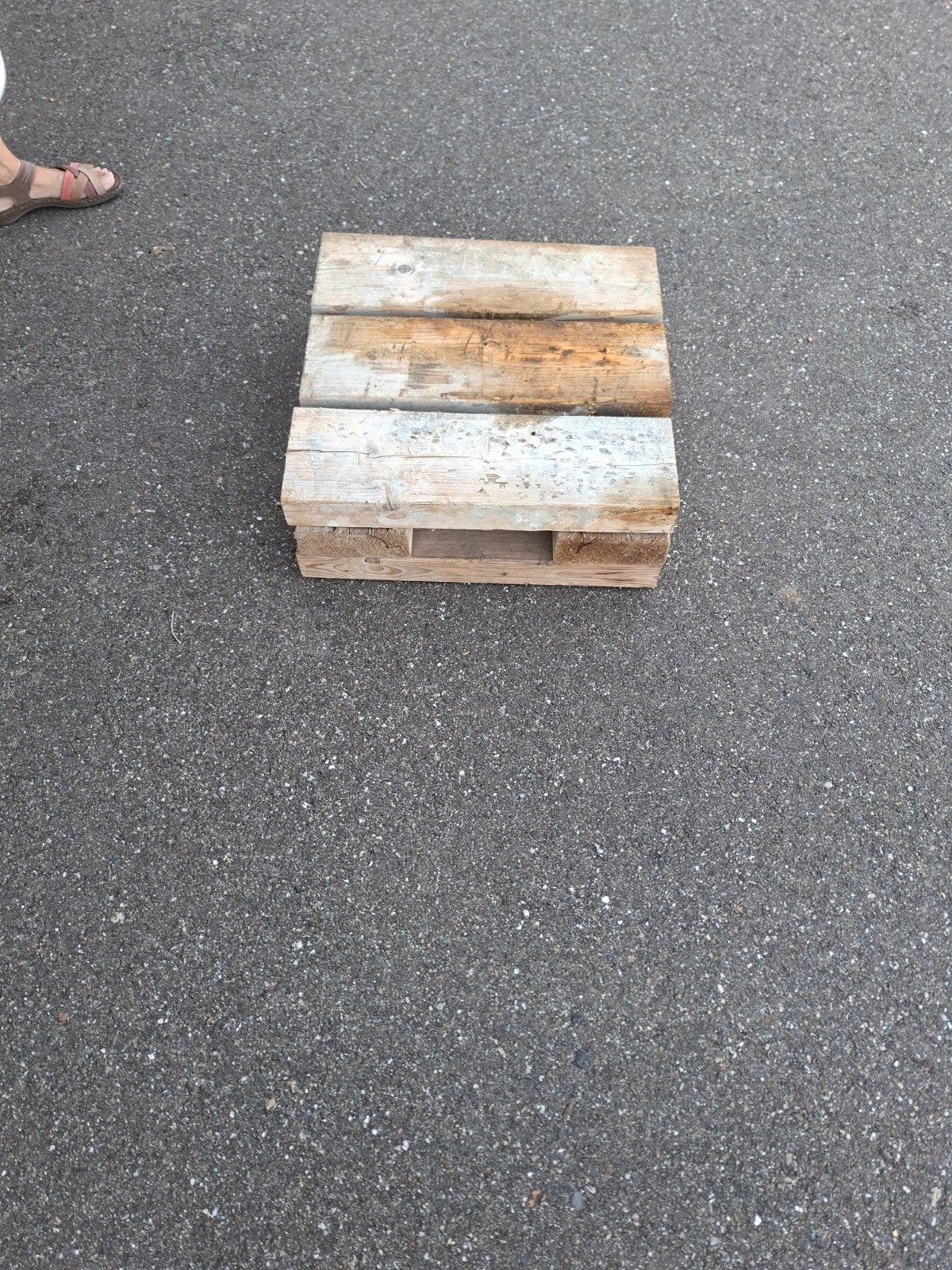 8 x steun woonunit , container, Ophalen of Verzenden, 50 mm of meer, Pallet, Minder dan 200 cm