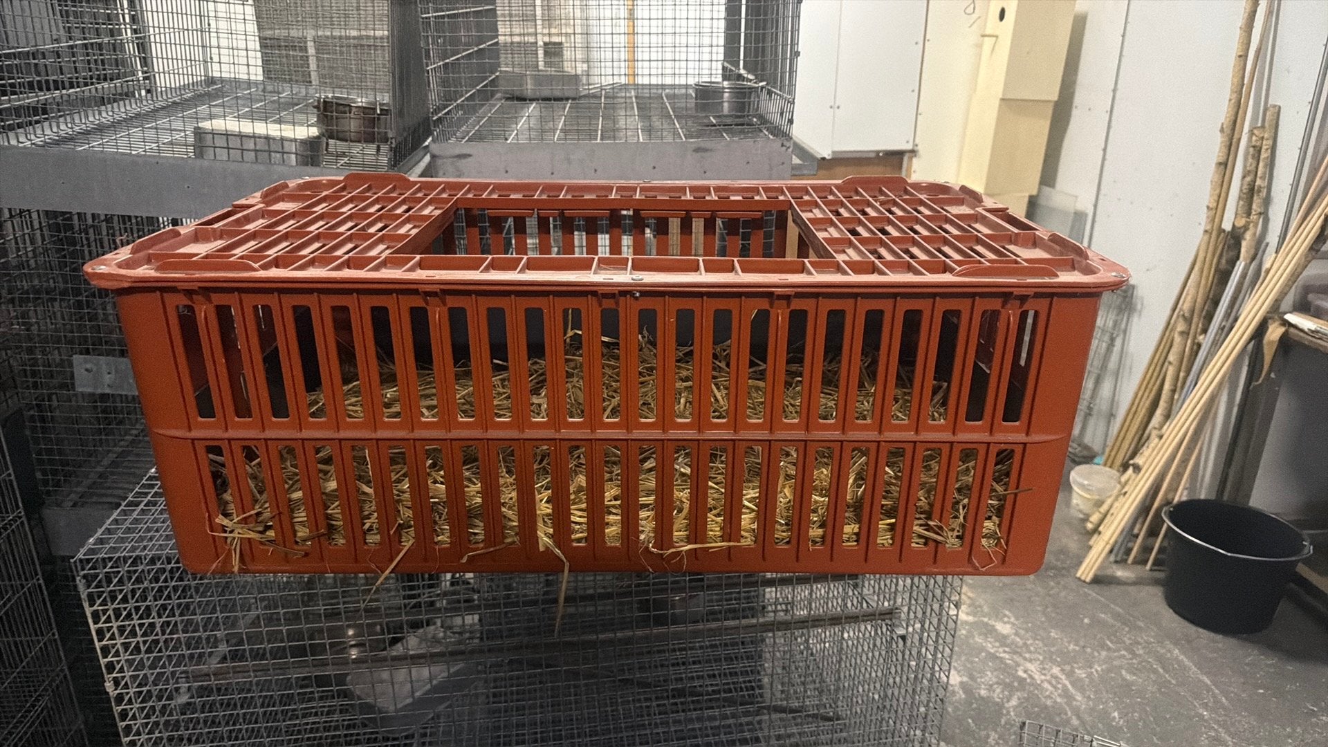 Te koop 20 kratten, vervoerskratten kippen kisten, Dieren en Toebehoren, Ophalen, Zo goed als nieuw, Overige typen