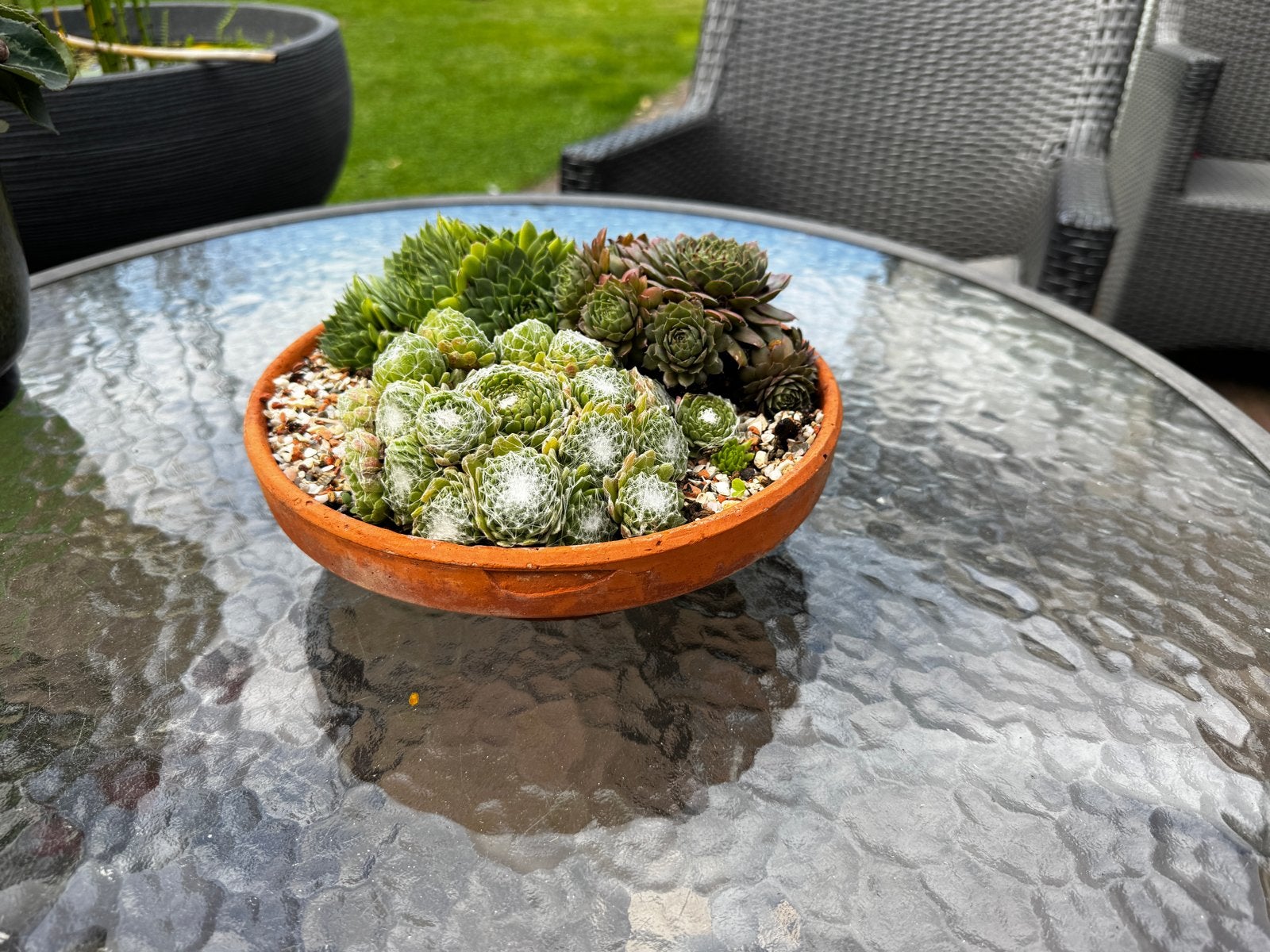 Terracotta broedschaal, bloempot of voor kerststukjes, Tuin en Terras, Gebruikt, Rond, Binnen, Minder dan 40 cm