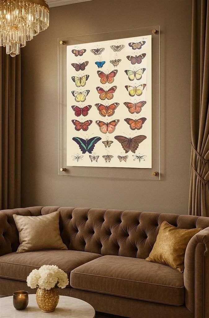 Vlinder Poster Vintage Entomologie Wetenschap Print, Verzenden