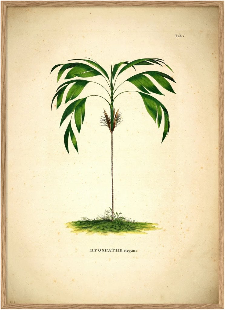 Fine-art botanische print | Deens designhuis The Dybdahl Co., Rechthoekig Staand, Met lijst, Deurposter of groter, Nieuw