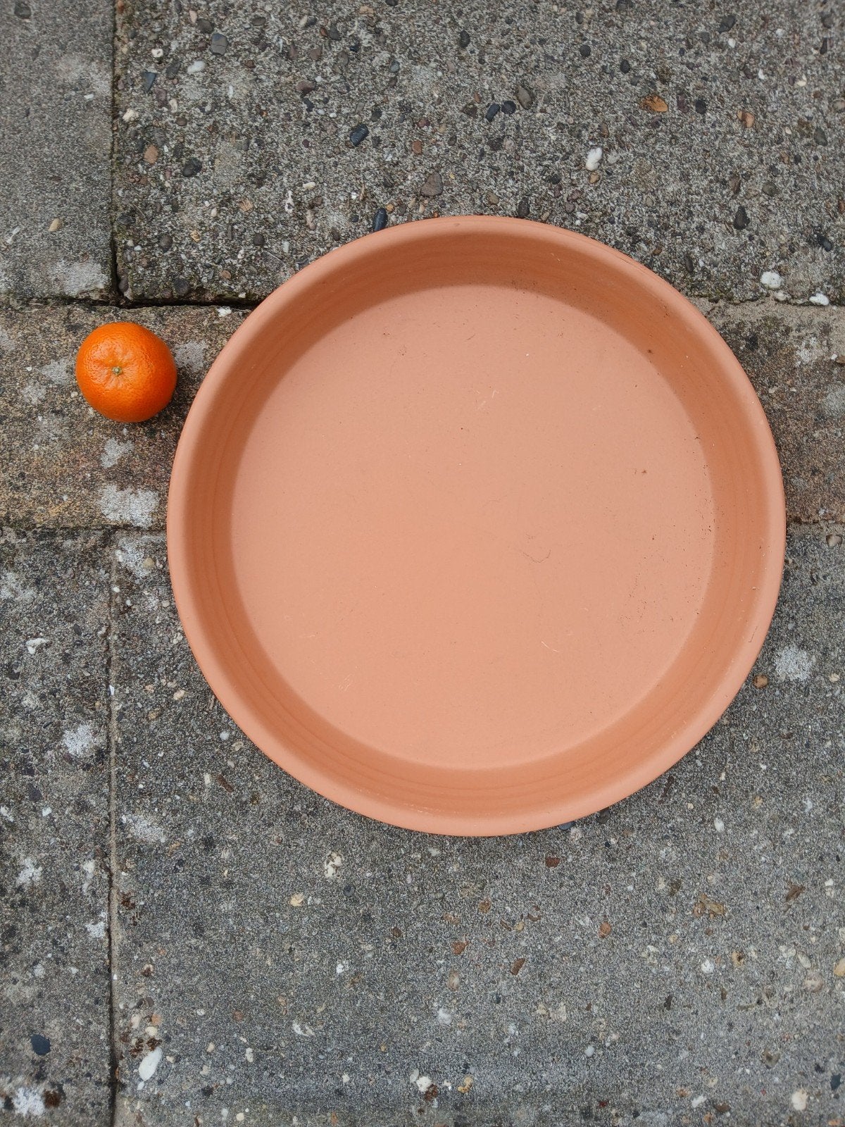 grote aardewerk plantenschotel nieuw 36 cm, Ophalen, Rond, Nieuw, Aardewerk