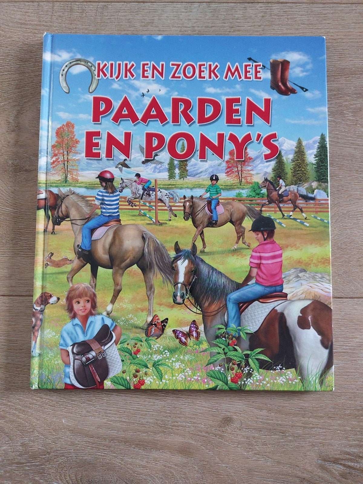 Boek Paarden en pony's, Ophalen of Verzenden, Gelezen