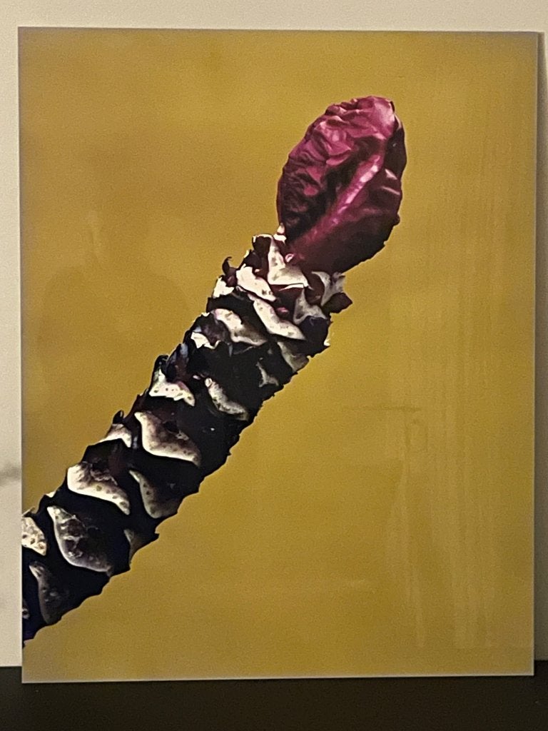 Strange fruit, Ophalen, Oorspronkelijke maker, 75 – 100, 50 tot 75 cm