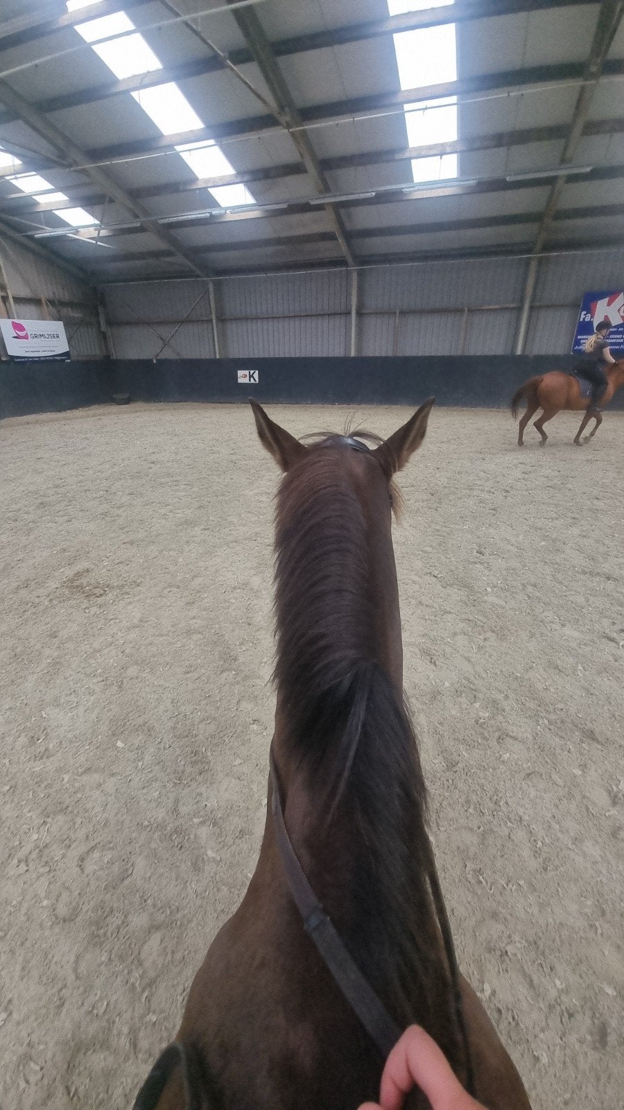 bijdrijder/verzorger aangeboden, Dieren en Toebehoren, Ophalen of Verzenden, Nieuw