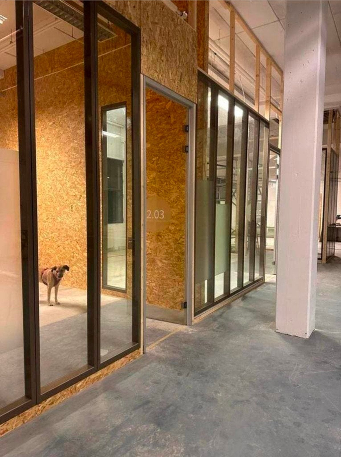 Glazen Scheidingswanden - 319,5cm hoog, Doe-het-zelf en Verbouw, Ophalen of Verzenden, 160 cm of meer, Glasplaat, 160 cm of meer