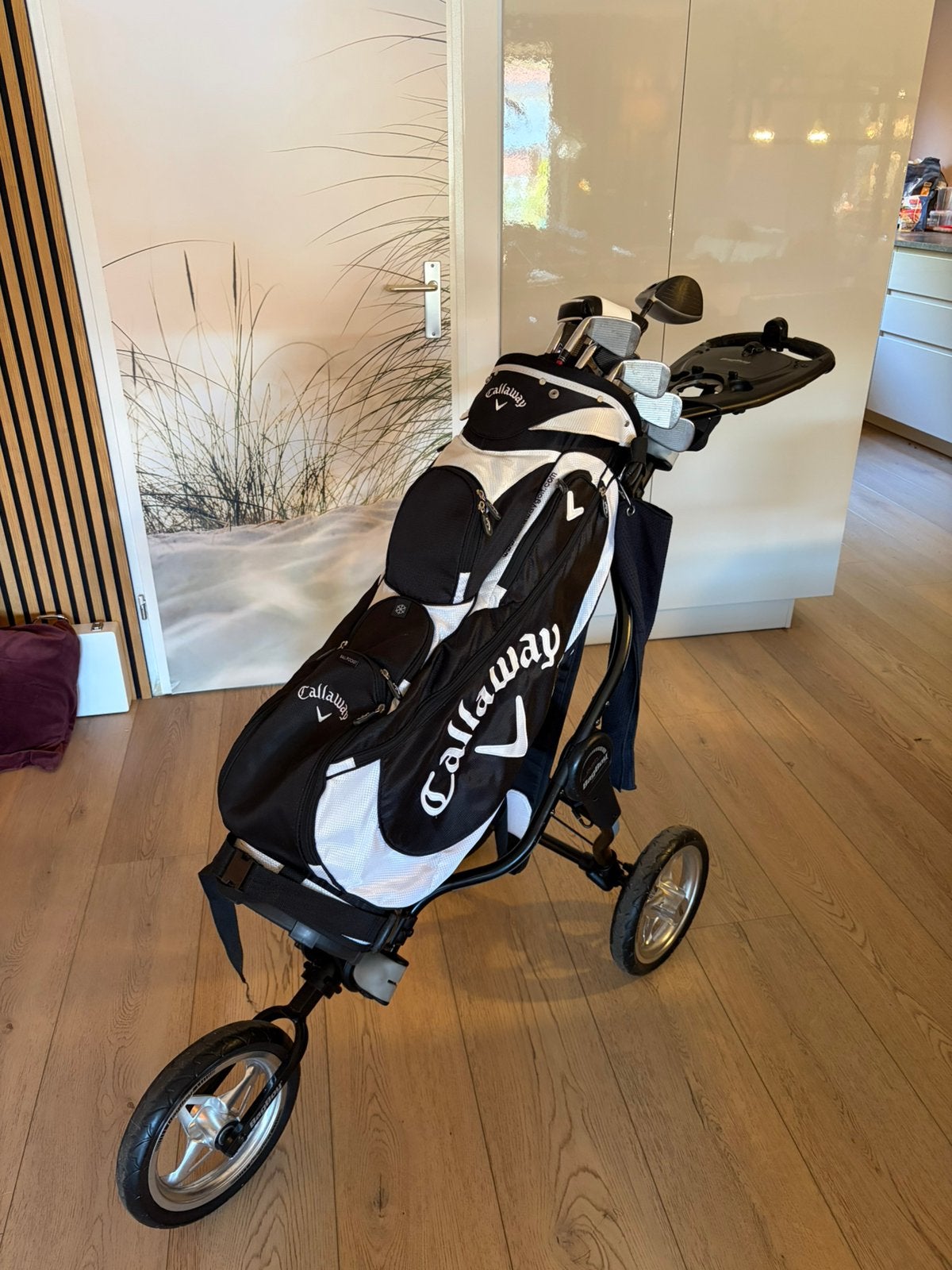 TaylorMade golfset + Callaway tas + BagBoy trolley en meer, Ophalen, Gebruikt, Set, Callaway