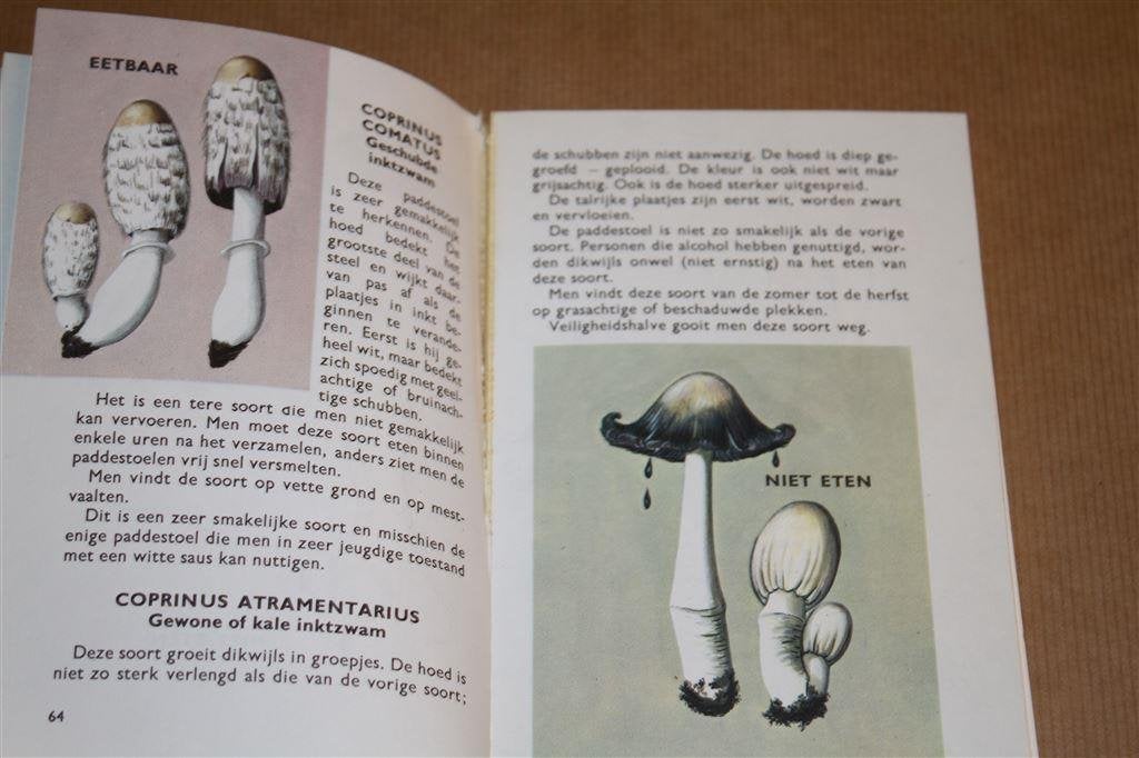 Natuurgids voor de paddestoelen. Europese soorten., Ophalen of Verzenden, Gelezen, Vogels