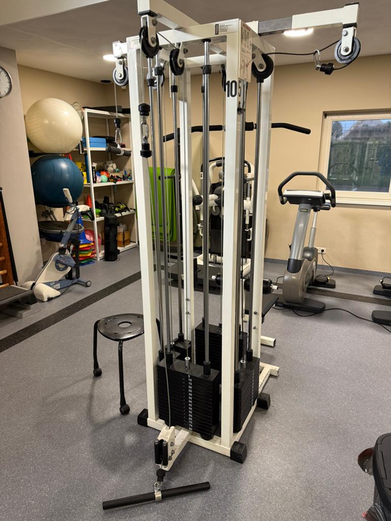Technogym Isotonic Cable Jungle Multistation, Sport en Fitness, Fitnessmaterialen, Gebruikt, Armen, Ophalen