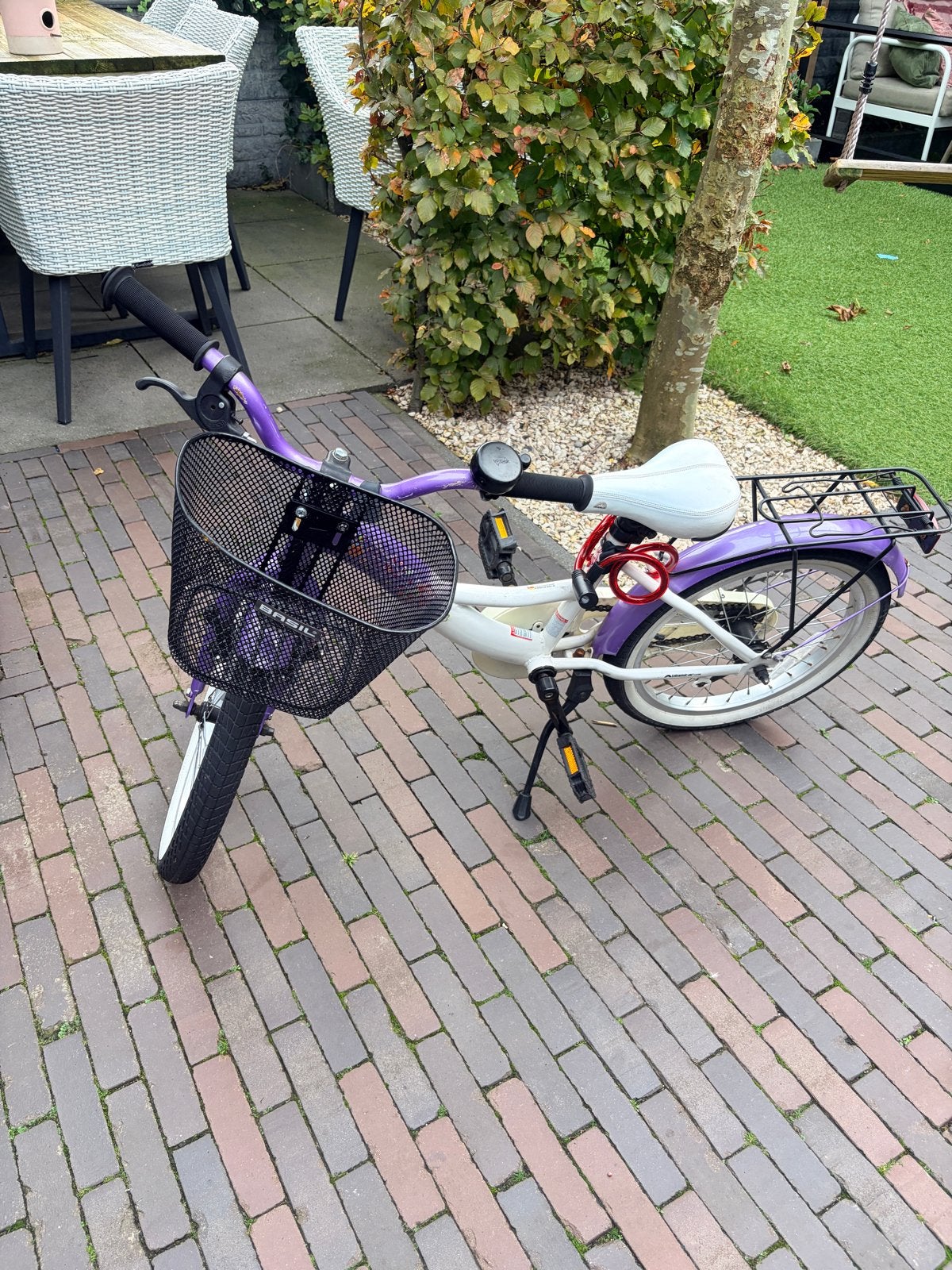 Leuke meisjesfiets 20 inch met mandje en bagagedrager, Terugtraprem, Gebruikt, Ophalen of Verzenden, Handrem