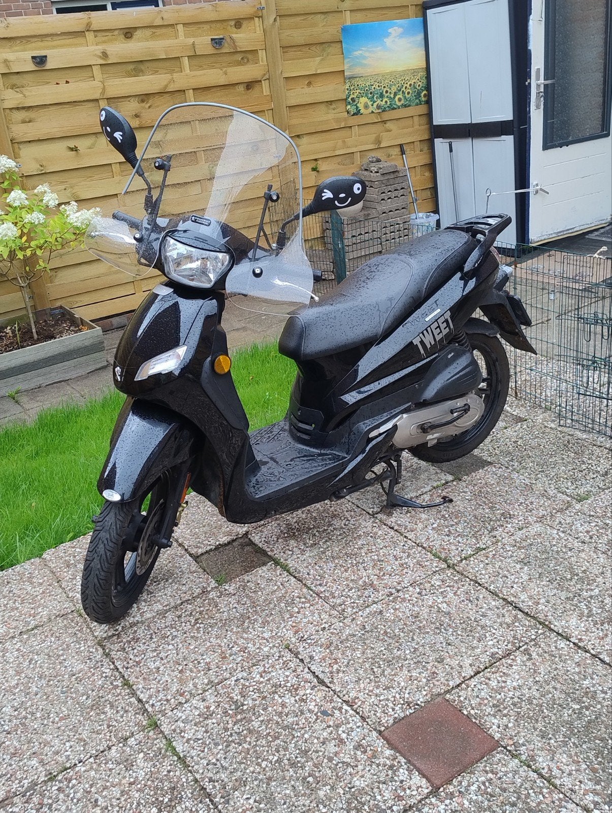 Peugeot Tweet, Ophalen, Gebruikt, Overige modellen, Maximaal 45 km/u