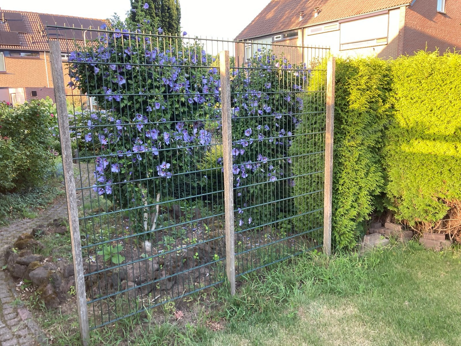 Gebruikt dubbelstaafmat hekwerk, groen, 200 cm hoog, Tuin en Terras, Ophalen, Gebruikt, IJzer, Dubbelstaafmat hekwerk