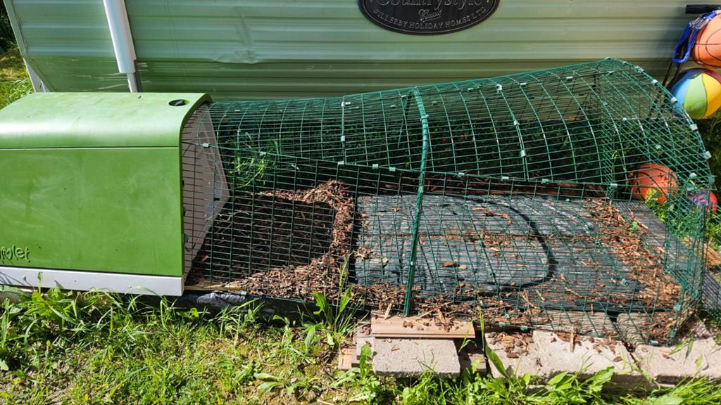 Omlet Eglu Go kippen/cavia/konijnenhok, Dieren en Toebehoren, Ophalen