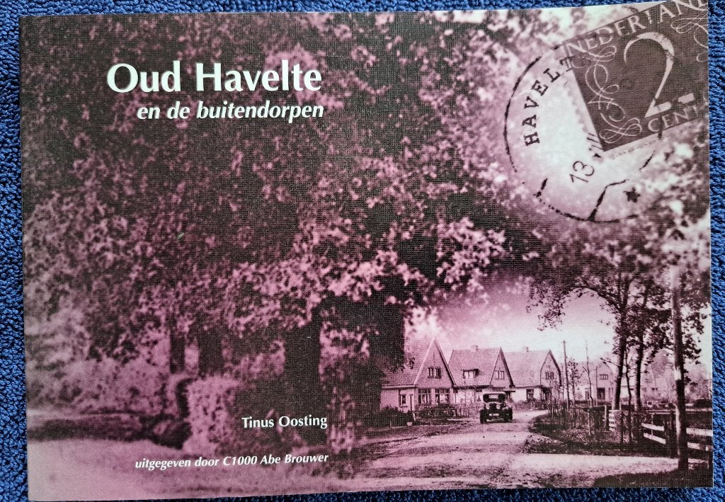 HAVELTE en de buitendorpen - Tinus Oosting - 2004, Ophalen of Verzenden, Gelezen, Tinus Oosting