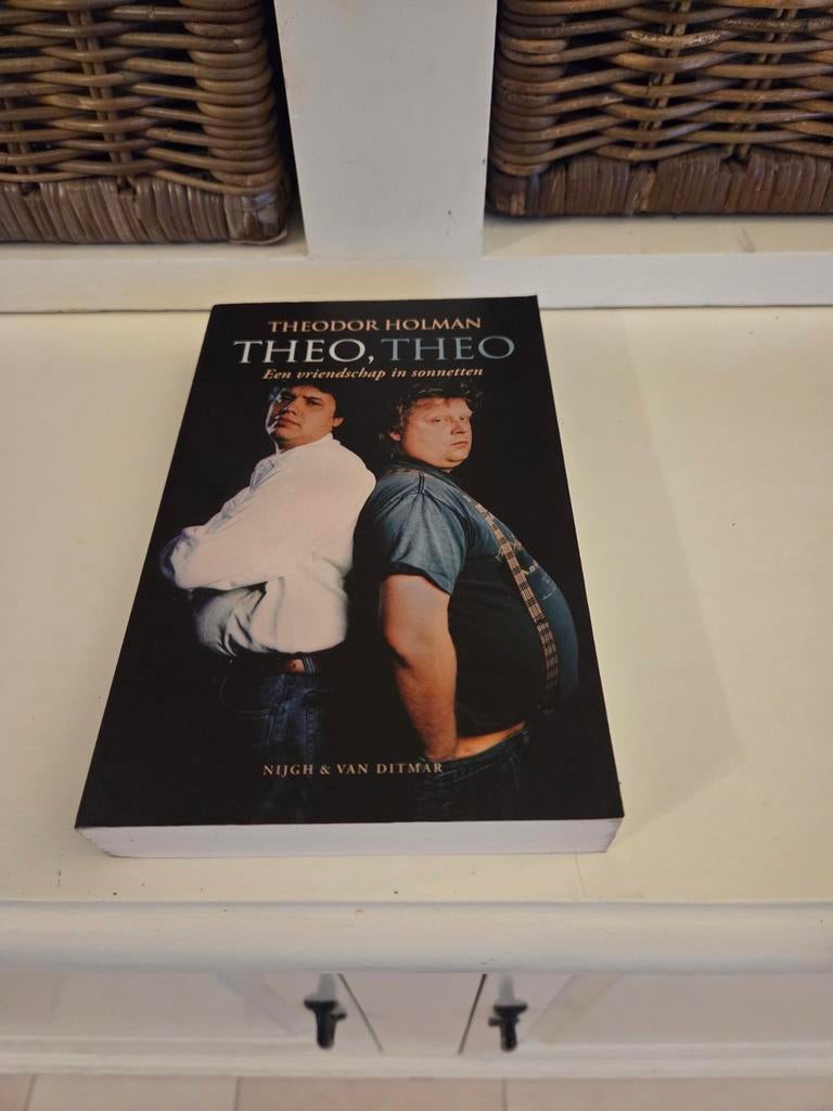 Theodore Holman - Theo en Theo, Ophalen of Verzenden, Gelezen, Sport