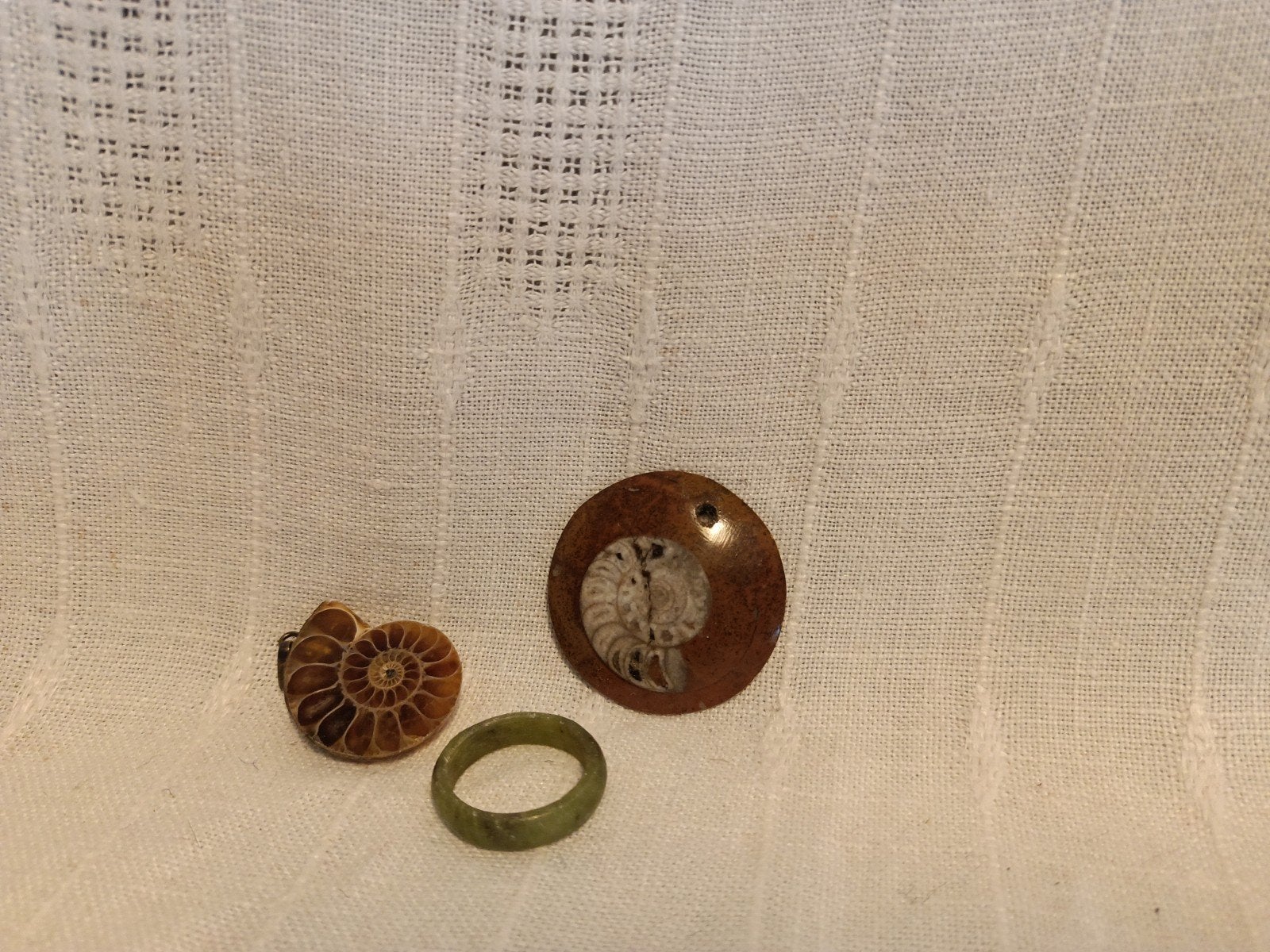 Gefossiliseerde Schelp. Hangertje, Ophalen of Verzenden, Zo goed als nieuw, Steen of Mineraal