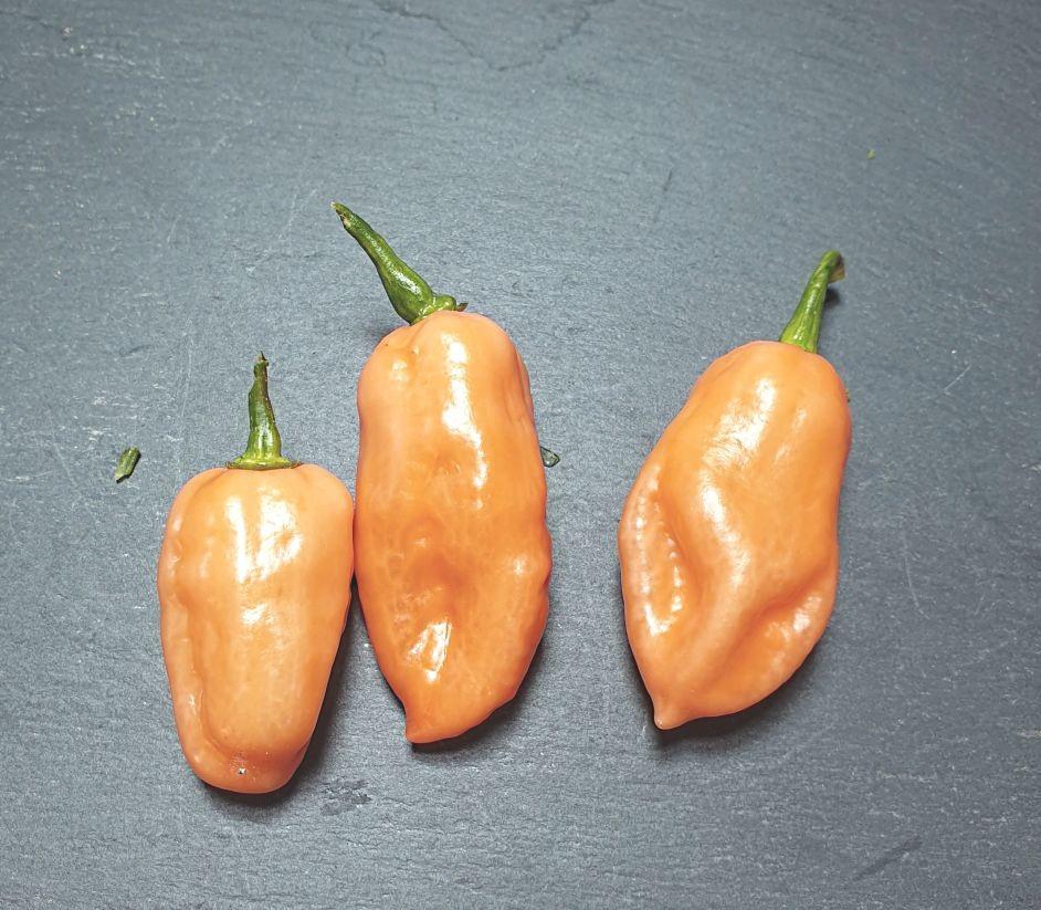 Speciale Roze Habenero Peper zaadjes, Ophalen of Verzenden, Volle zon, Zaad