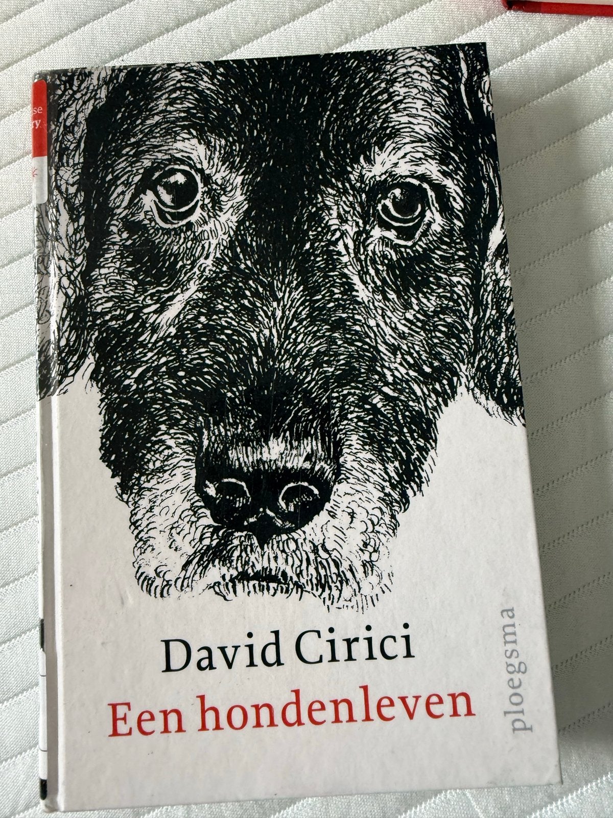 Diverse kinderboeken: Warrior Cats, Dagboek van een Muts, Me, Boeken, Kinderboeken | Jeugd | onder 10 jaar, Ophalen, Gelezen, Fictie algemeen