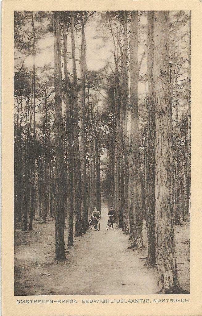 AK Breda, Omstreken Breda - Eeuwigheidslaantje Mastbosch, Verzamelen, Verzenden, 1920 tot 1940, Gelopen, Noord-Brabant