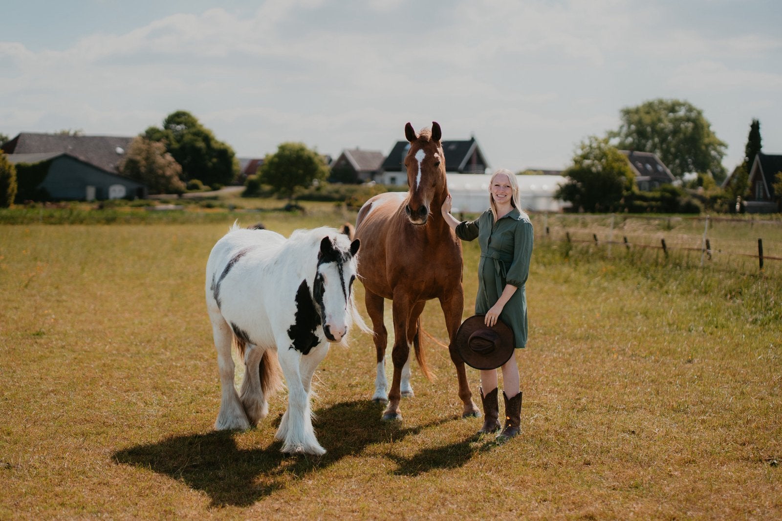 Super lieve KWPN’er en c pony Tinker., Ruin, Dressuurpaard, L, 11 jaar of ouder