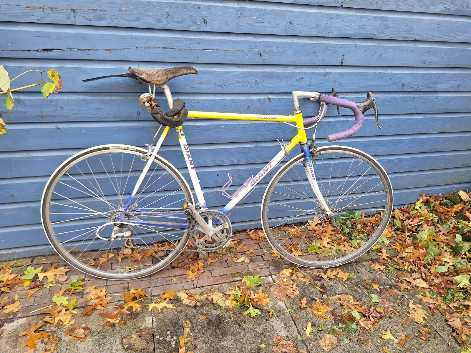 Giant Peleton 58cm, Ophalen, Gebruikt, Staal, Giant