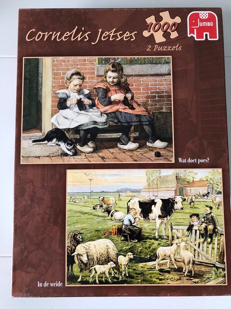 2 puzzels van 1000 stukjes, Ophalen of Verzenden, 500 t/m 1500 stukjes, Gebruikt, Legpuzzel