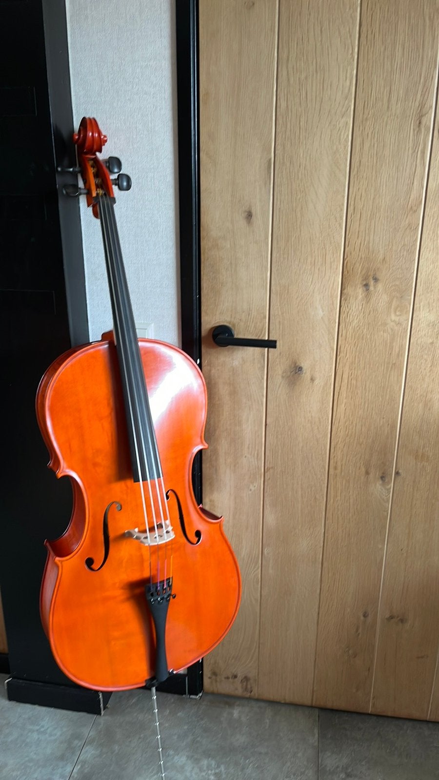 Mooie GLIGA Studenten Cello – Inclusief Tas en Strijkstok, Muziek en Instrumenten, Strijkinstrumenten | Cello's, Ophalen, Gebruikt