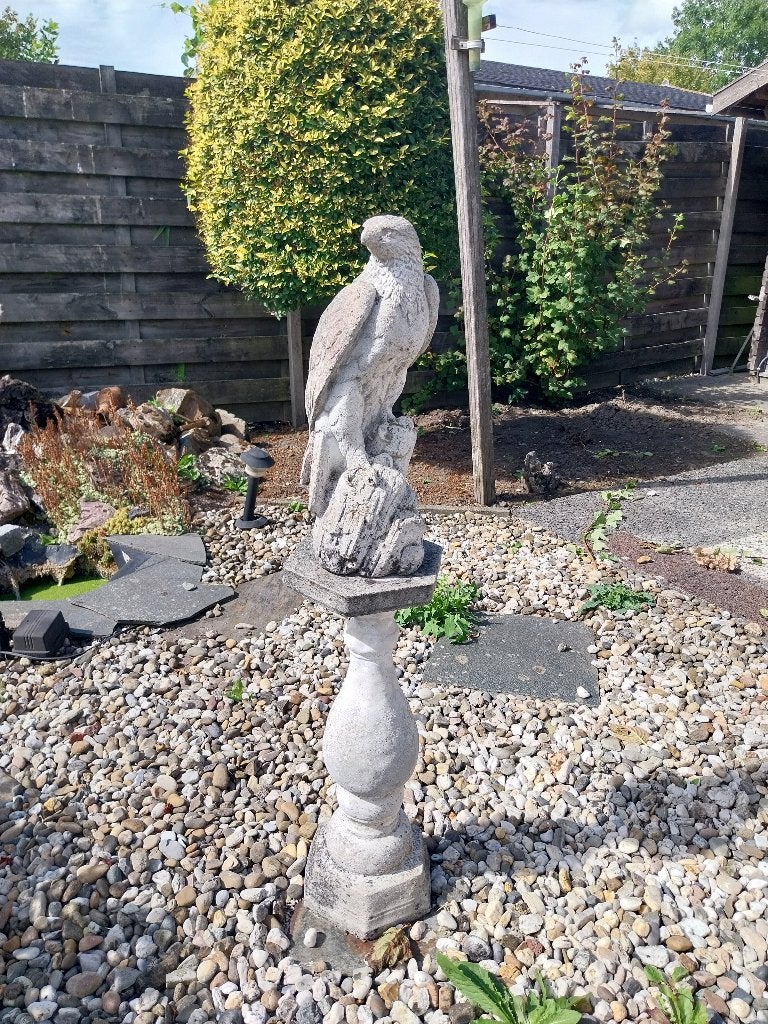 Adelaar, Ophalen, Beeld, 1 meter - 2 meter, Vogel
