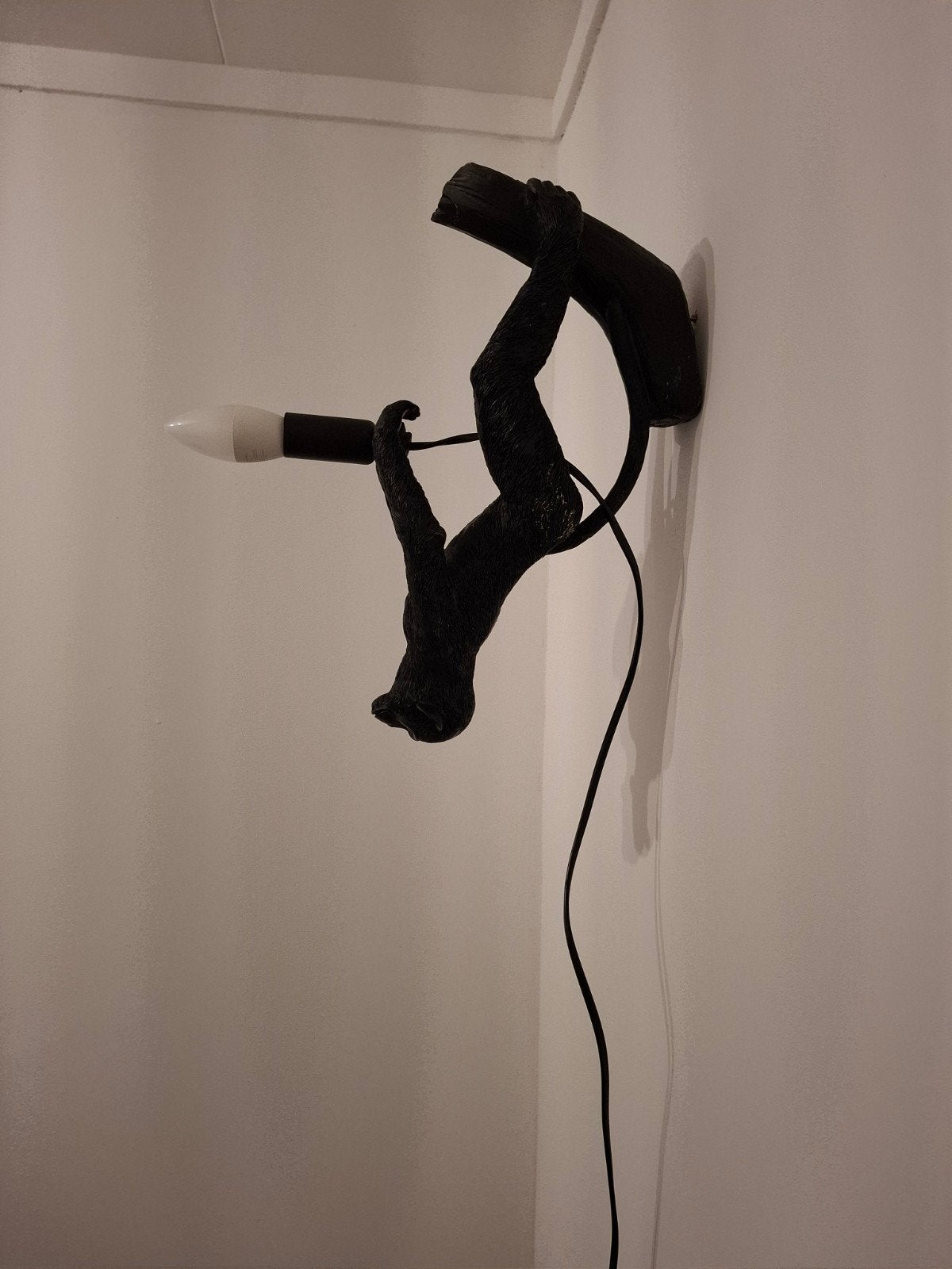 apen lamp, Ophalen