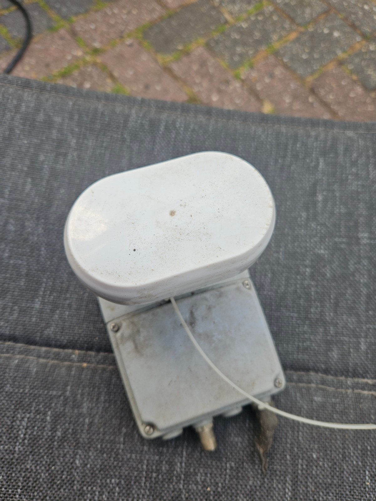 Twin lnb, Ophalen of Verzenden, Nieuw, Overige merken