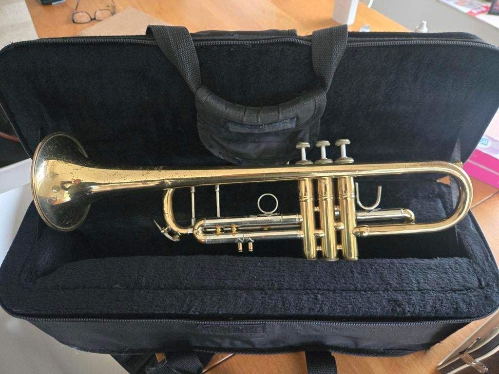 Bach Stradivarius 25 trompet, Muziek en Instrumenten, Blaasinstrumenten | Trompetten, Ophalen of Verzenden, Gebruikt, Bes-trompet