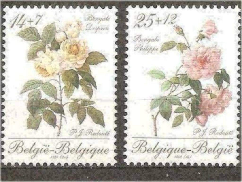 Belgie 1990 - Yvert 2354-2355 /OBP 2353-2354 - Flora (PF), Verzenden, Postfris