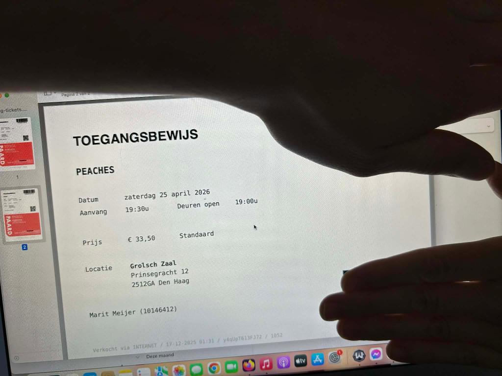 PEACHES - PAARD VAN TROJE - TICKETS 2X, Twee personen