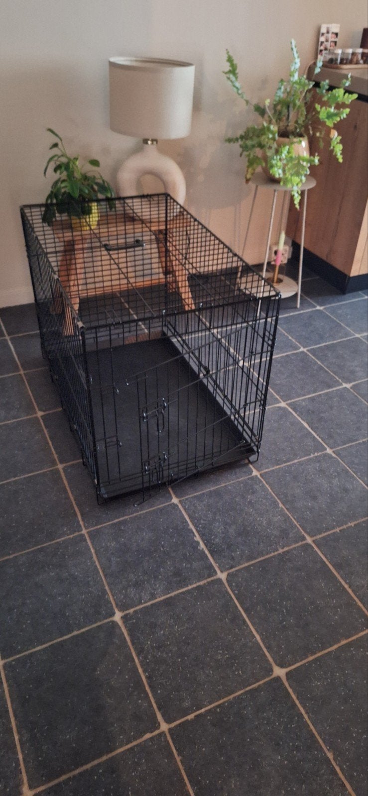 honden bench zwart, Ophalen, Zo goed als nieuw, 75 tot 110 cm, Minder dan 65 cm