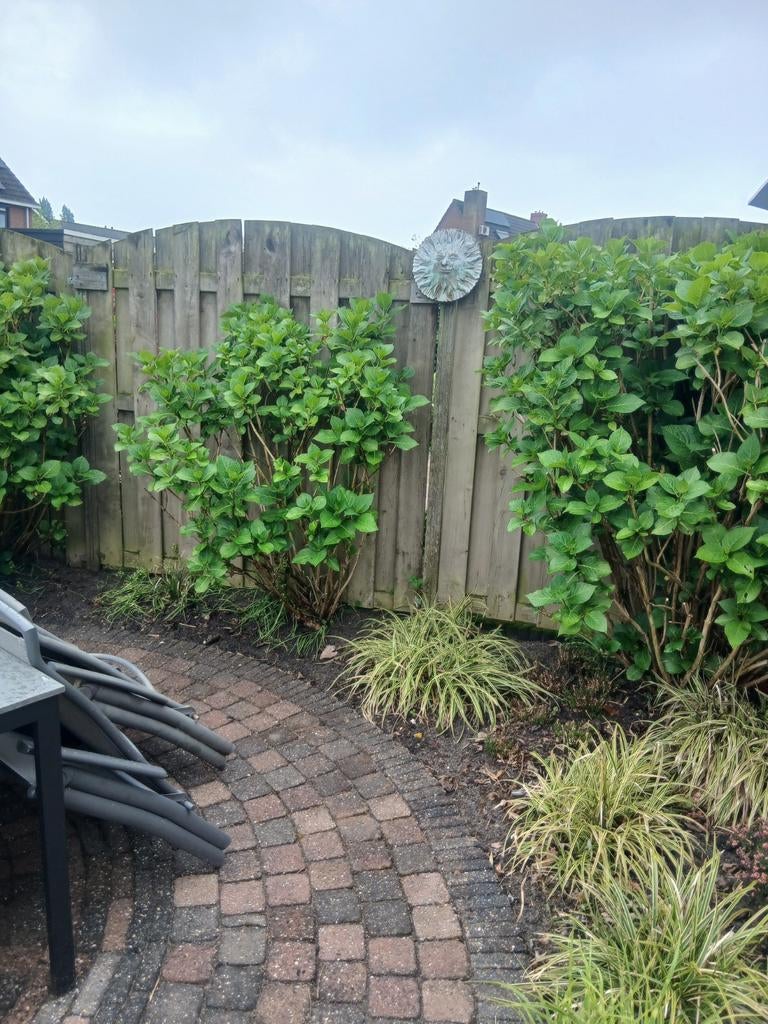Stookhout, Tuin en Terras, Palen, Balken en Planken, Ophalen of Verzenden, Planken