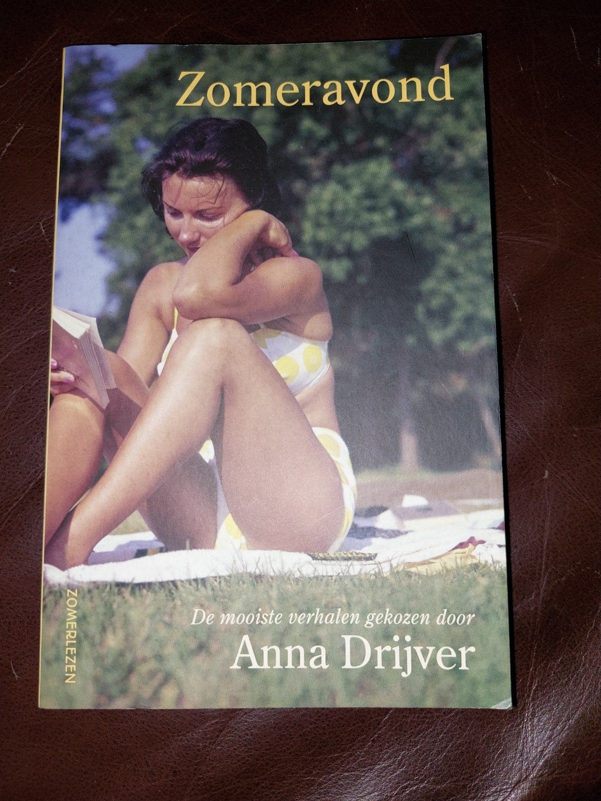 Zomeravond - De mooiste verhalen gekozen door Anna Drijver, Boeken, Ophalen of Verzenden, Gelezen, Anna Drijver, Nederland