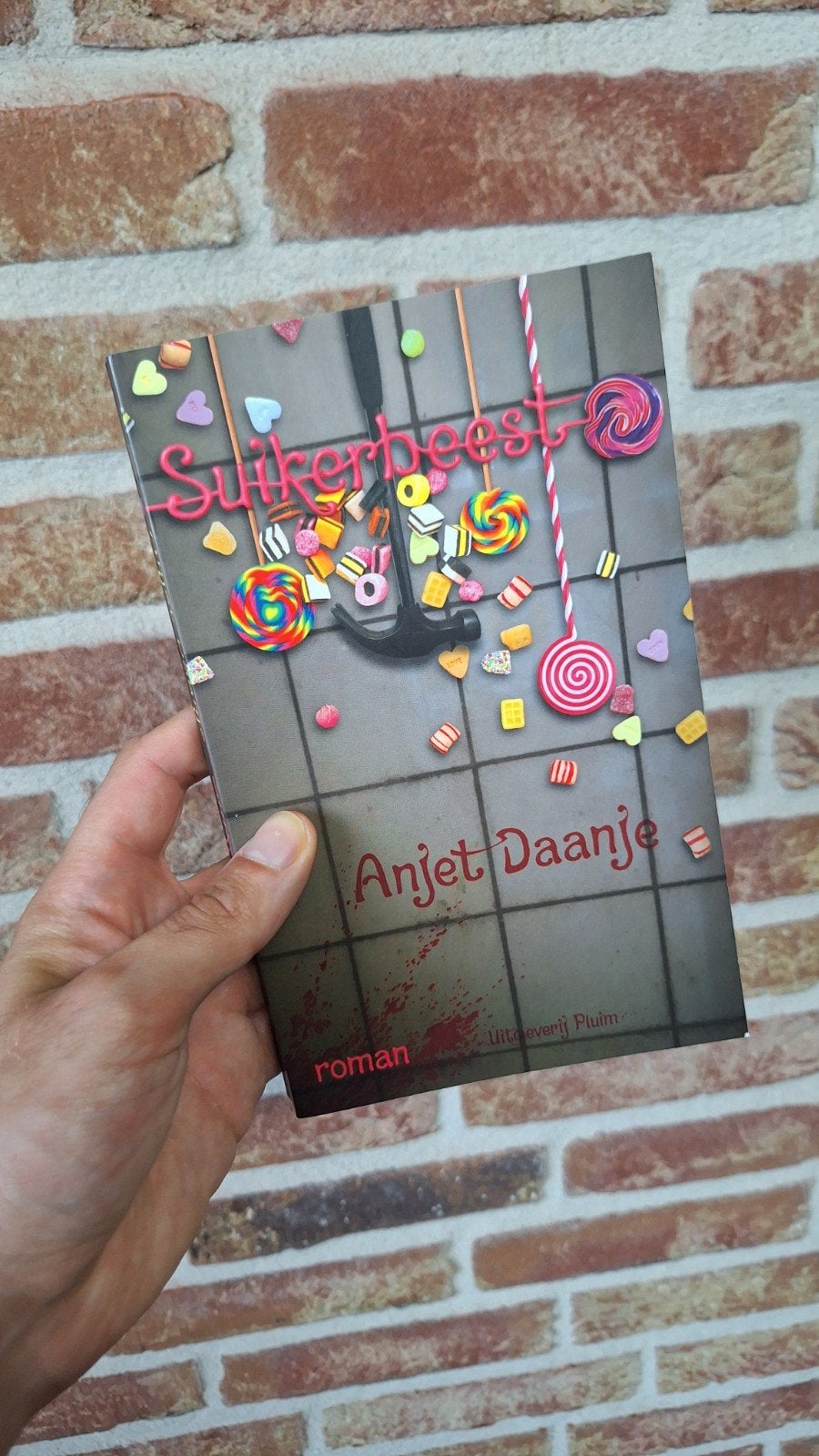 Anjet Daanje - Suikerbeest (roman), Boeken, Ophalen of Verzenden, Zo goed als nieuw, Anjet Daanje, Nederland