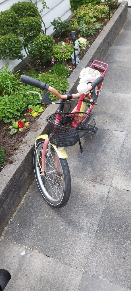 Loekie kinderfiets 20 inch - roze/geel, Fietsen en Brommers, Ophalen of Verzenden, Gebruikt, 20 inch of meer