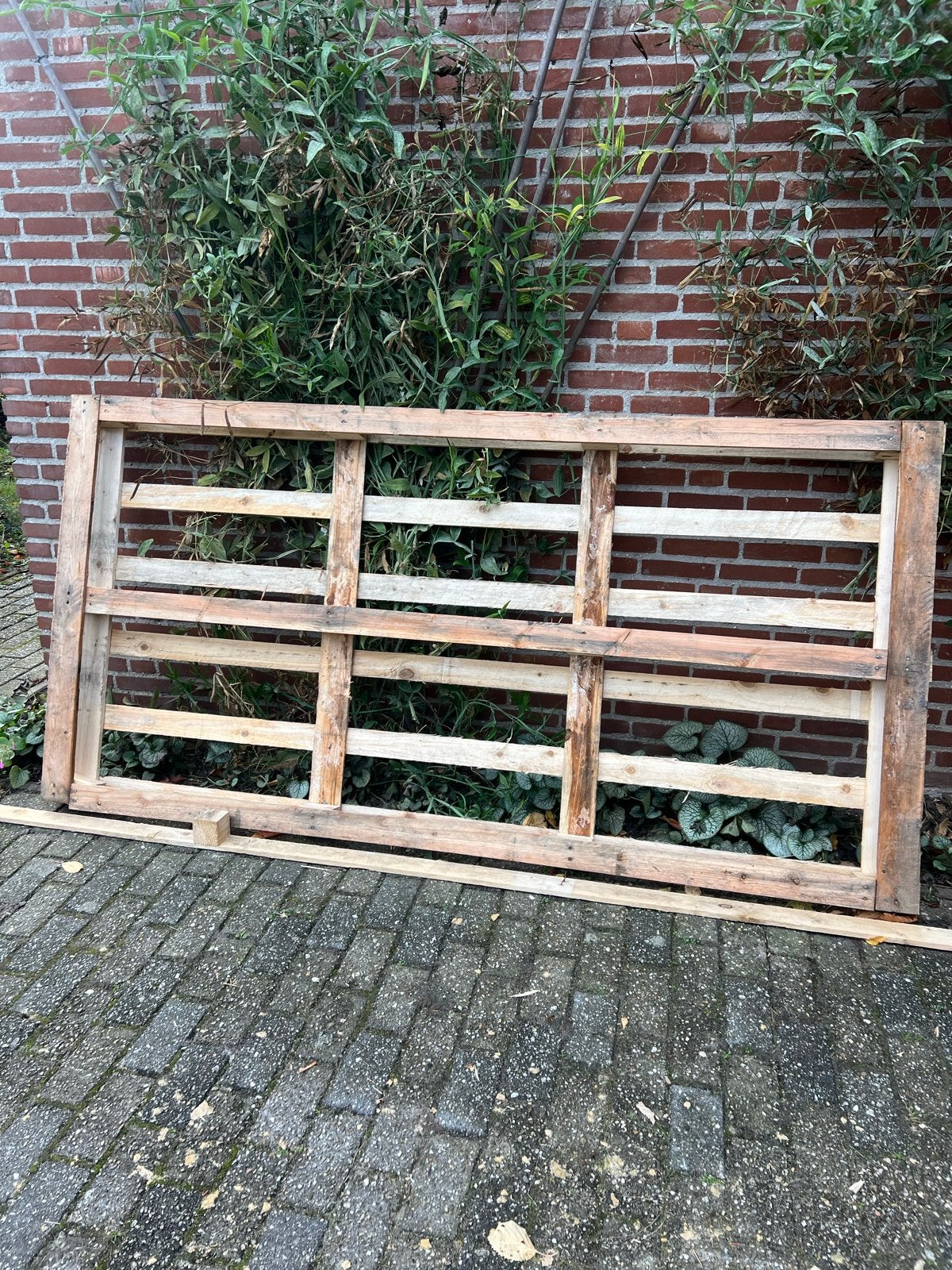 Grote houten pallet voor diverse projecten, Gebruikt, Ophalen of Verzenden, Overige houtsoorten, Pallet