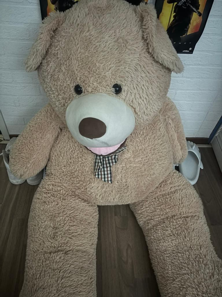 Grote teddybeer van ruim 180 cm, Ophalen, Gebruikt, Beer, Beige