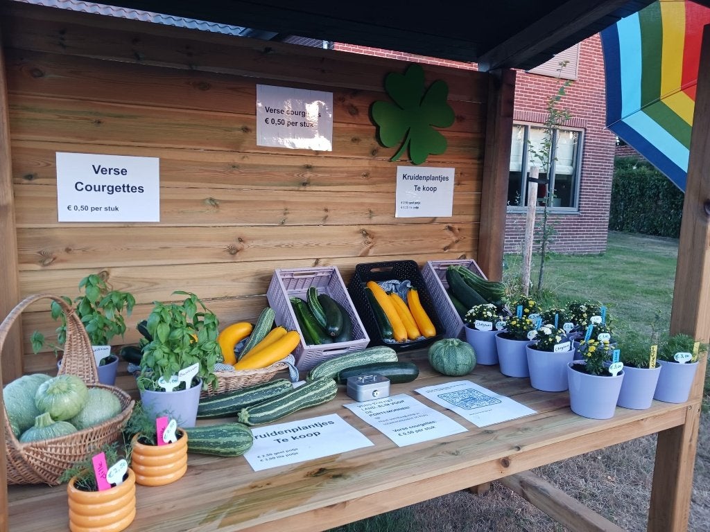Basilicumplant in luxe pot, Ophalen, Volle zon, Eenjarig, Kruiden
