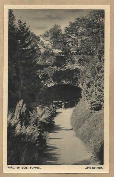 Ansichtkaart Apeldoorn - Berg en Bos Tunnel, Ophalen of Verzenden, Voor 1920, Ongelopen, Gelderland