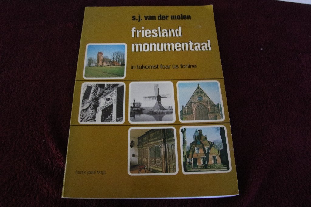 Friesland monumentaal Van der Molen, Boeken, Ophalen of Verzenden, Gelezen