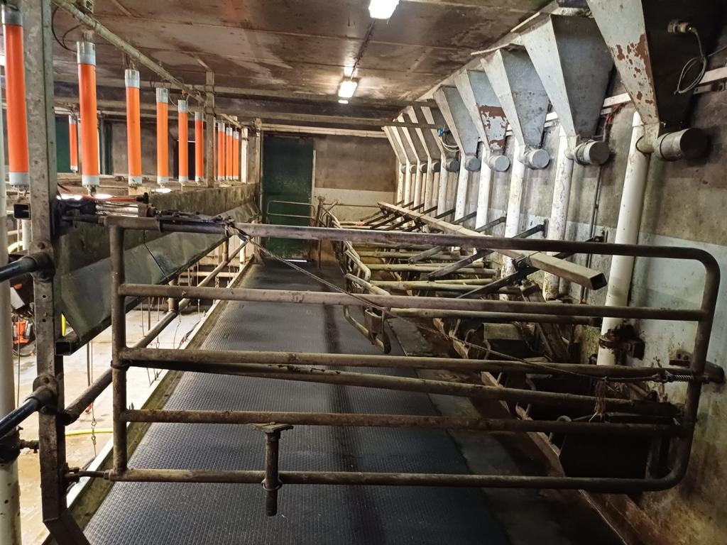 Boumatic/ Gascoigne melkstal..in onderdelen te koop, Dieren en Toebehoren, Stalling en Weidegang