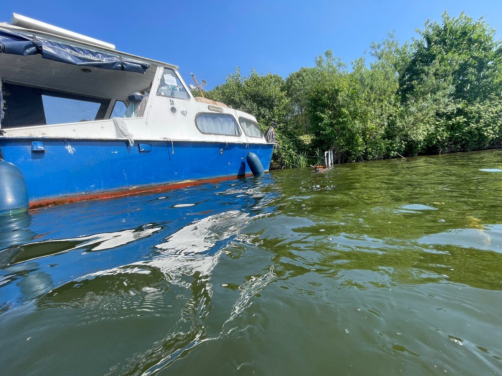 Stalen  boot met Sole 4-cilinder motor, proefvaart mogeli, Overige merken, Gebruikt, Binnenboordmotor, Nederland
